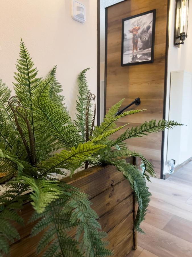 Fewo Ottobeurens Schmuckstueck: Gemuetlich-Stylische Wohnung Dış mekan fotoğraf